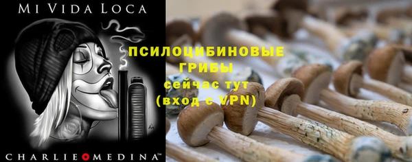 винт Абаза