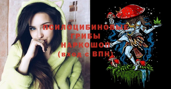 Альфа ПВП Алзамай