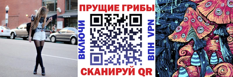 Псилоцибиновые грибы Psilocybe  MEGA онион  Магнитогорск 